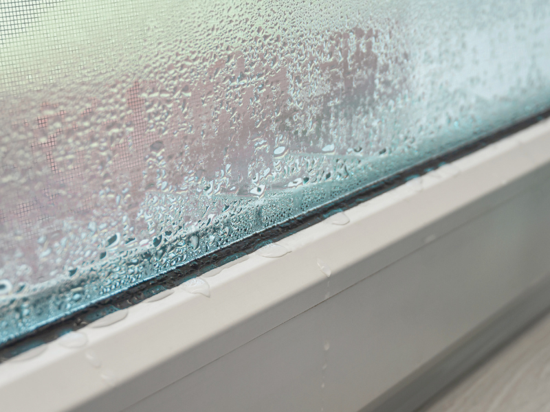 condensation on window